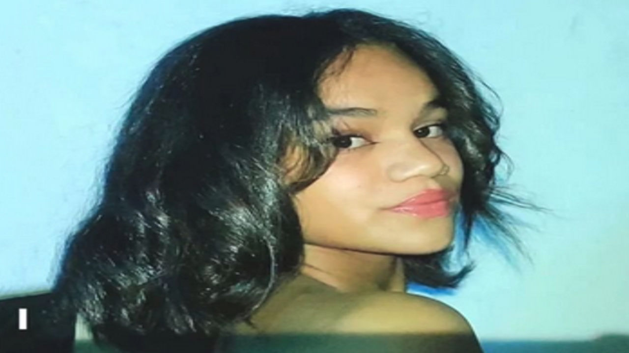 Gata greluda caiu na net